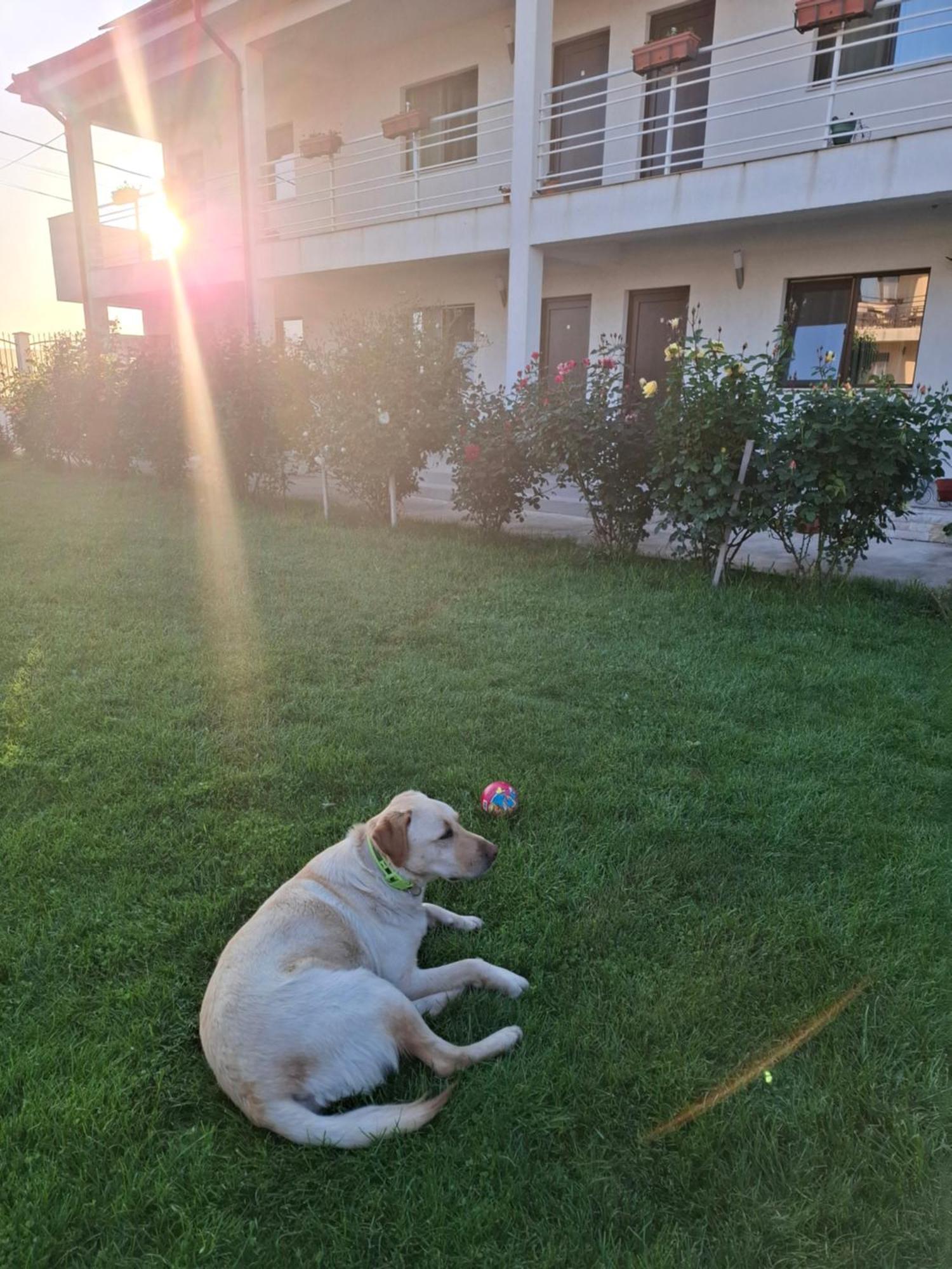 Hotel Casa ERICKA Vama Veche Exteriér fotografie